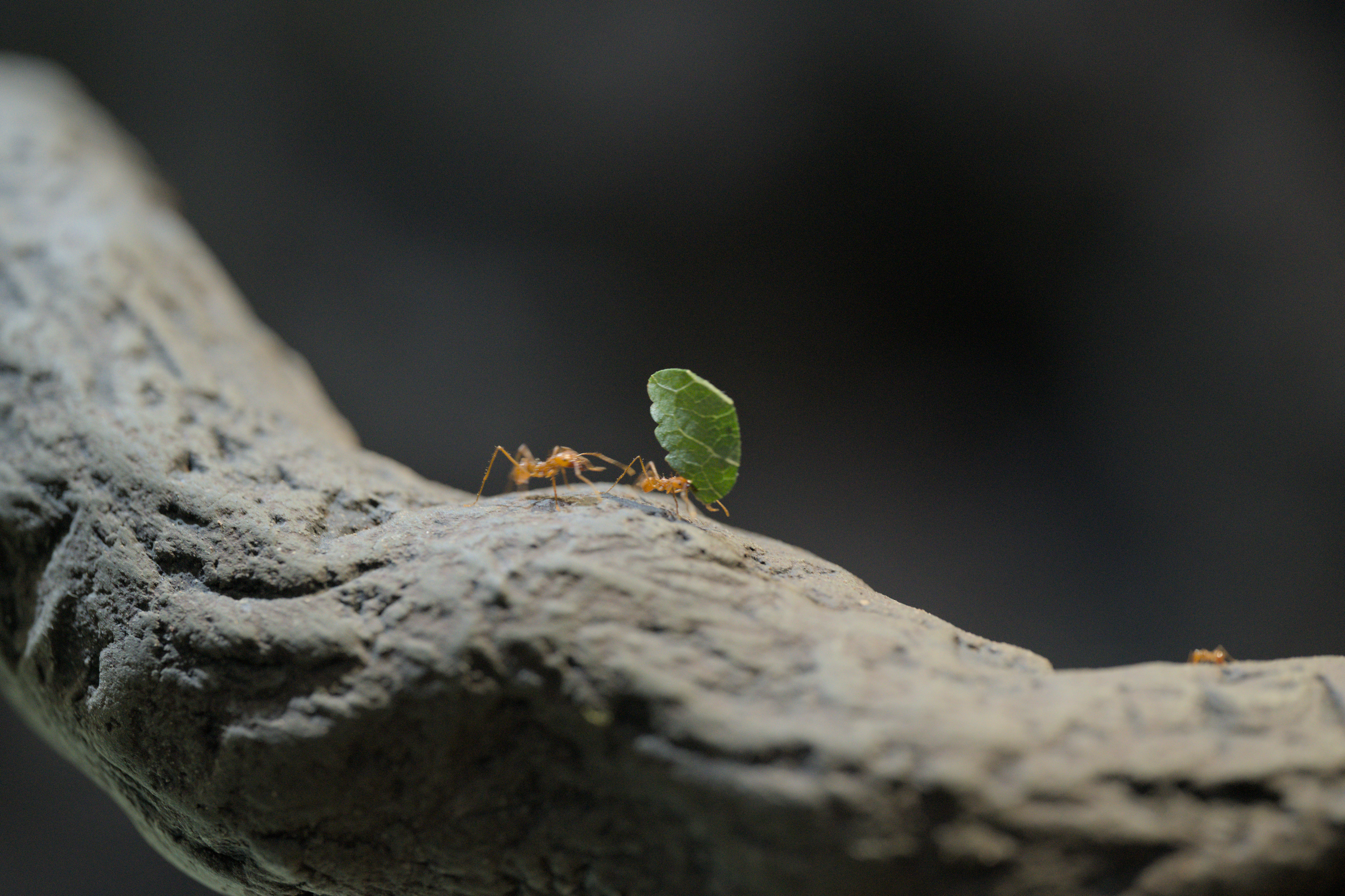 2025/10/12 - zoo/DSC_0235.jpg